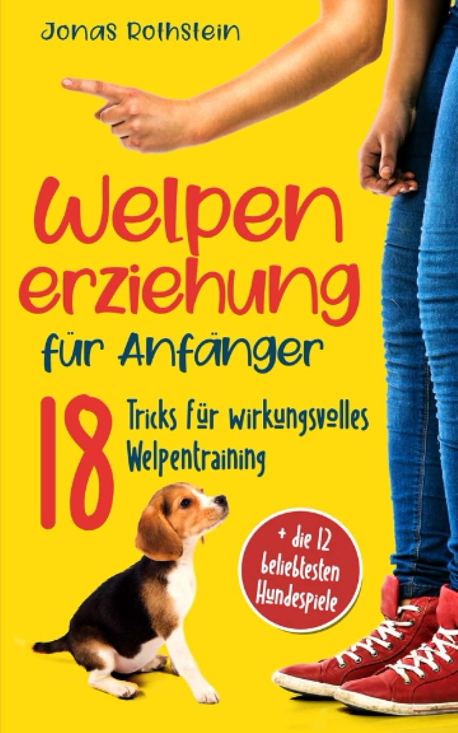 Welpenerziehung für Anfänger