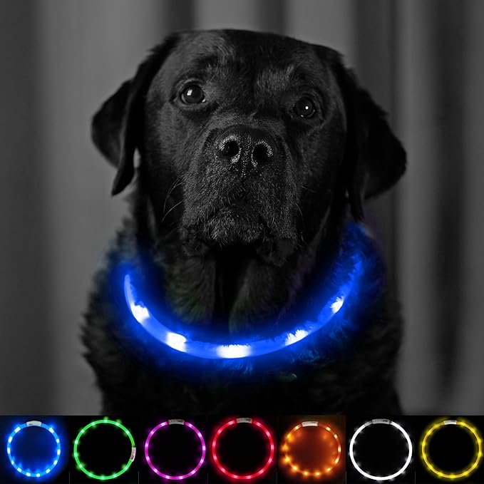 PetSol LED-Hundehalsband