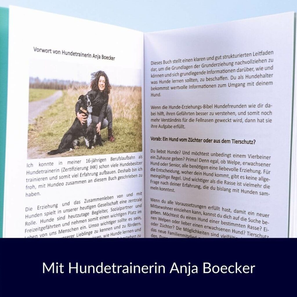 Hunde-Erzeihungs-Bibel von Anja Boecker