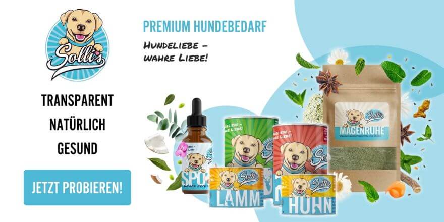 Solli's Hundebedarf - Die besten Hundesnacks*